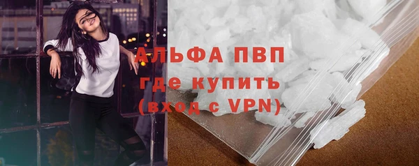 спиды Магас