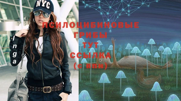 спиды Магас