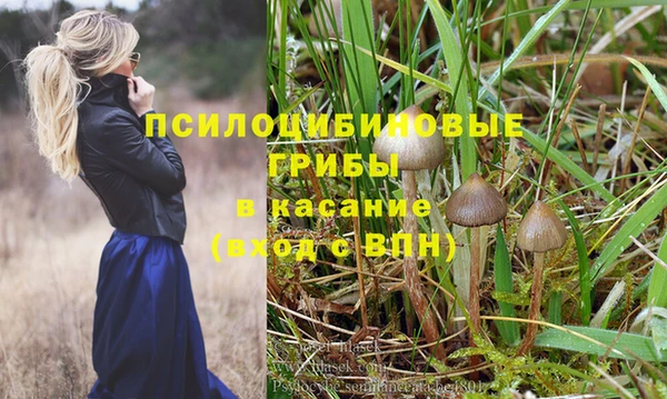 спиды Магас