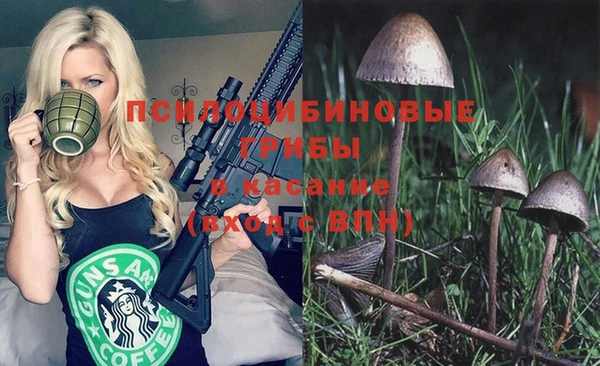 спиды Магас