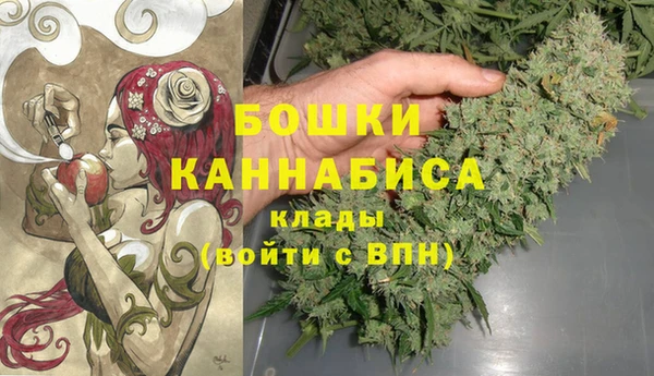 спиды Магас