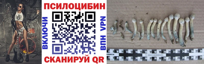 Галлюциногенные грибы мухоморы Белгород